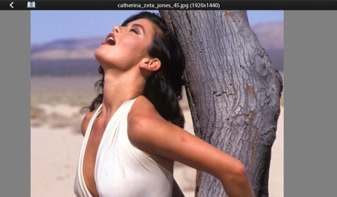 What Are Your Thoughts On Catherine Zeta Jones?