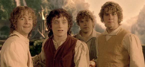 Would you rather be a elf, dwarf, men, wizard or a hobbit in LOTR?