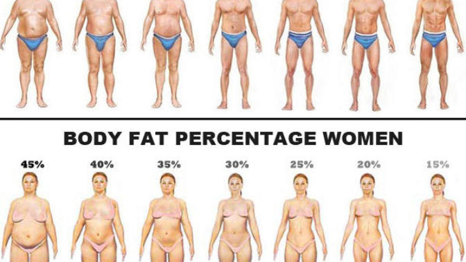 Is the fact that girls tend to have more body fat than guys (biologically speaking), a factor in girls worrying about their weight?