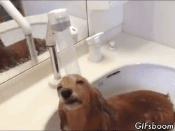 What's your preference: A bath, shower or both?