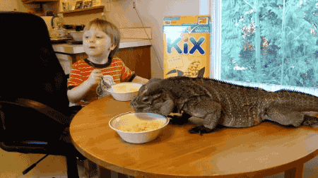 Are you more of a cat or dog person?