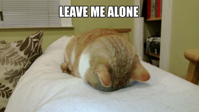 If you were in a bad mood, would you prefer to be left alone or have someone cheer you up?