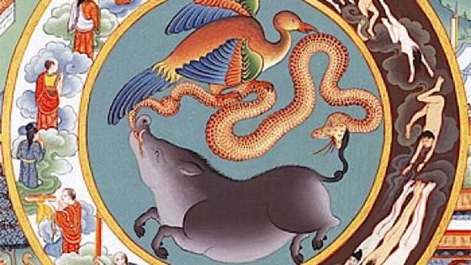 Do rebirths (In e. g. Buddhism) and karma make sense for you?