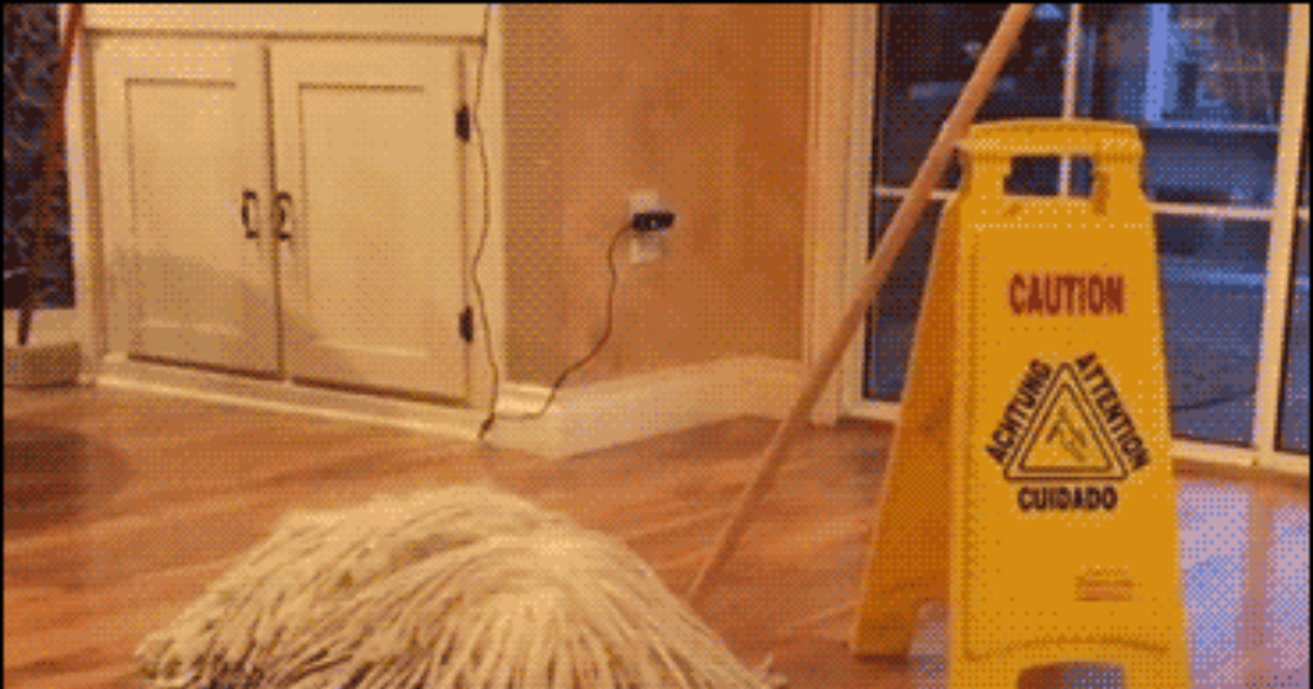 mop hardwood floors without damage meze blog mop hardwood floors without damage meze blog