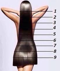 Which hair length do you people prefer?
