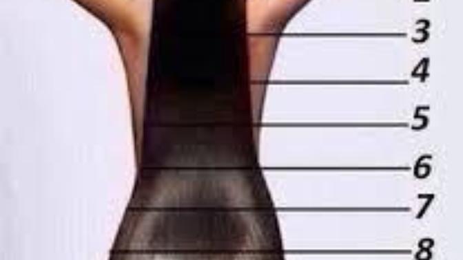 Which hair length do you people prefer?