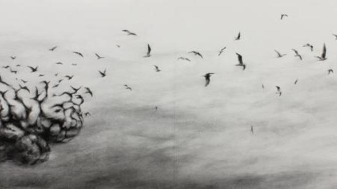 When you found out that your suffering from a new disorder/mental illness, how do you react and cope with it?