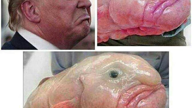 Caucasian are pink why so many people are upset and delusional?