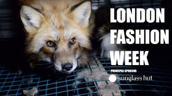 Why the fuck do people still wear fur?