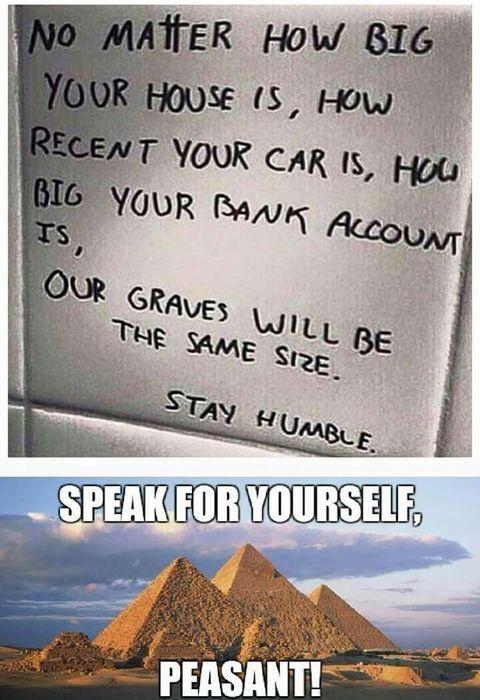 What you think of my memes?
