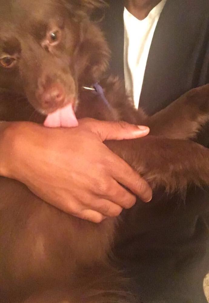 Who else loves their pet?