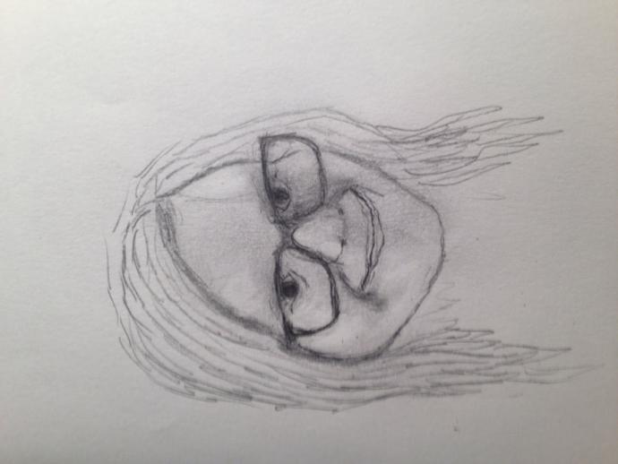 I drew my crushes face for Valentine's Day and I think I did a good job. What do you think??? How'd I do???