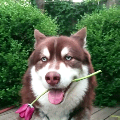 Would a valentines day like this be good?