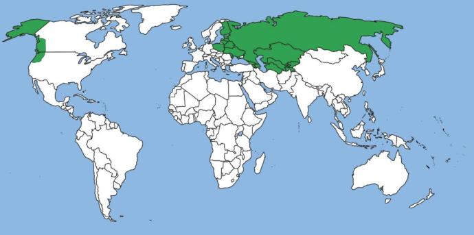 Which of THESE specific Empires do you find most impressive part deuce?