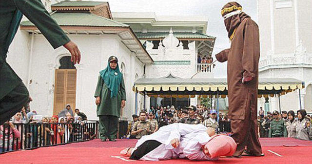 horse shoe muslim girl personals Animal sex dog fuck bestiality porn horse sex free beastiality. horse shoe muslim girl personals Animal sex dog fuck bestiality porn horse sex free beastiality.