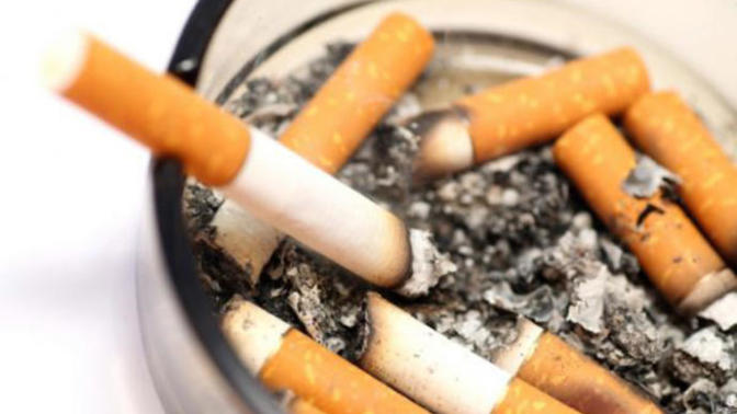 Would you rather lick a dog's butt or kiss a girl/ guy who smokes cigarettes?