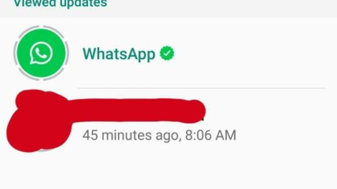 What do you think of the new Whatsapp update?