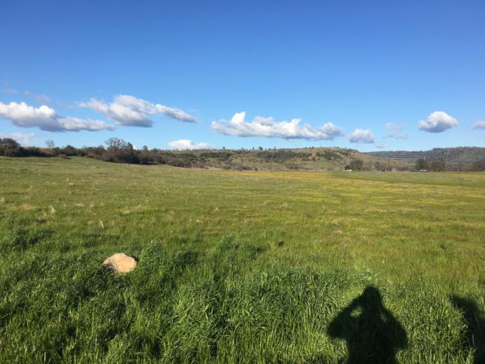 Are you boyos mirin my view/Saturday?
