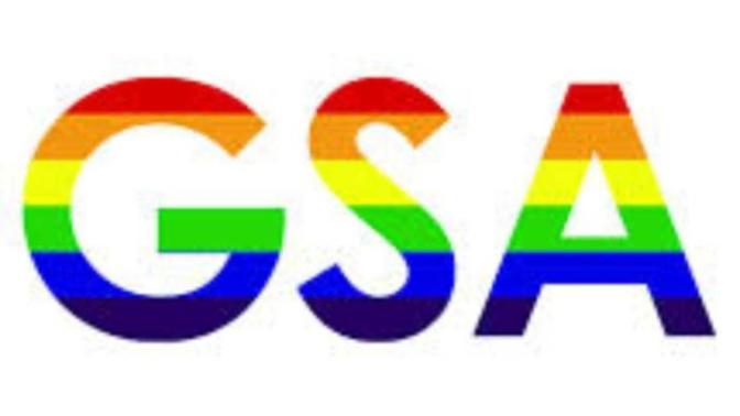 Should all school support GSA?