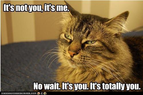 Have you ever used the 'it's not you it's me' line to someone when breaking up? And was it the complete truth or a little fibbing?