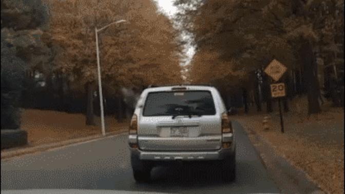 Do you think you're a good driver?