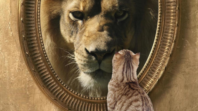 Yourself through the eyes of a stranger (opposite sex).. would you like yourself?