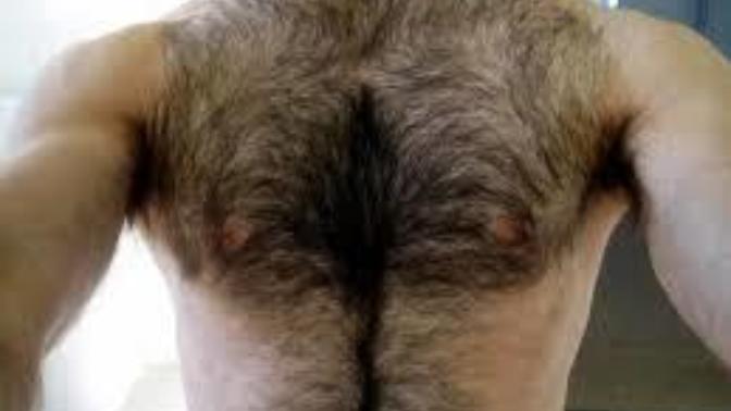 Girls what do you think guys with a hairy chest like them? Prefer no hair, a little hair, a lot of hair or Full chest of Hair on your guy?