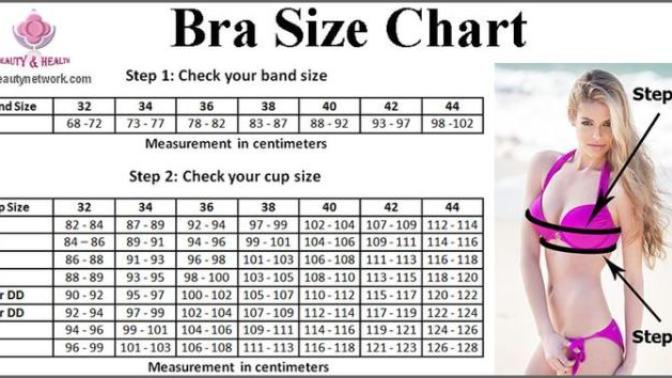 Breast size poll: What's your cup size?