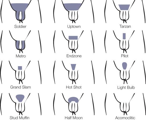 Guys how do you keep your pubes? Ladys how does your man Keep his Pubes?