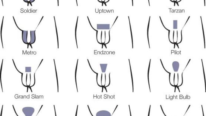 Guys how do you keep your pubes? Ladys how does your man Keep his Pubes?