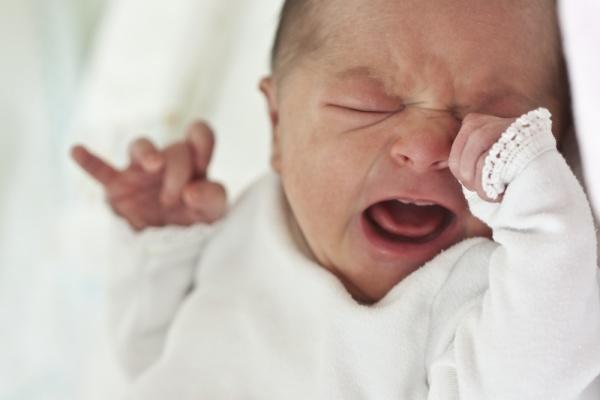 If you were forced to choose between punching a puppy or punching a baby, which would you choose?