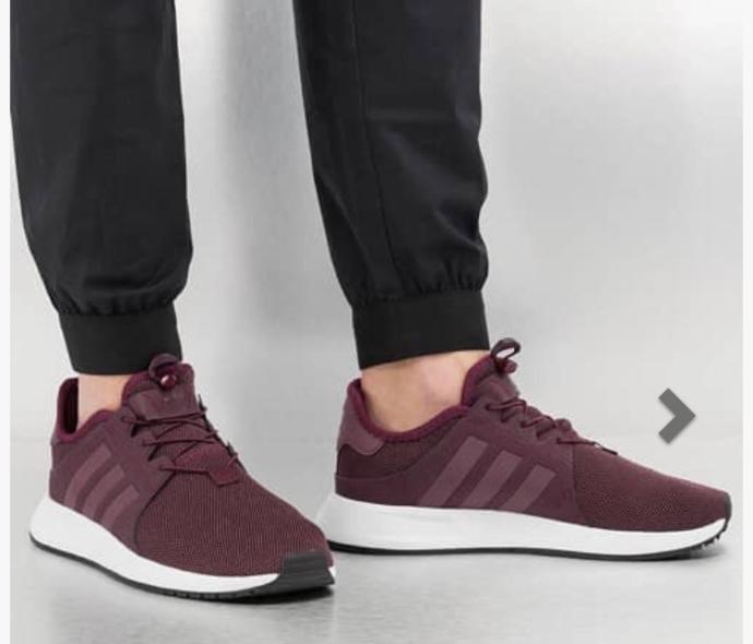 Which one should I buy?