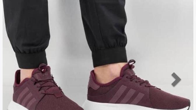 Which one should I buy?