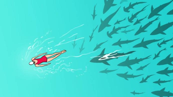 Should female Lifeguards and Parkrangers on their PERIOD be given the day off because of the risk of Shark and Bear attacks?