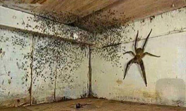 Would you stay in this room for 24 hours for $1 billion?