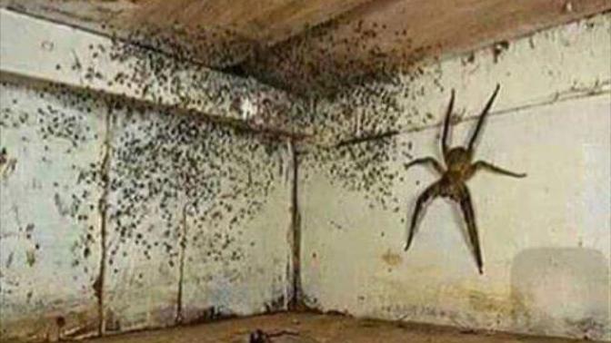 Would you stay in this room for 24 hours for $1 billion?