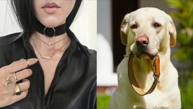 Do people really think that chokers are so supposed to be analogous to dog collars?