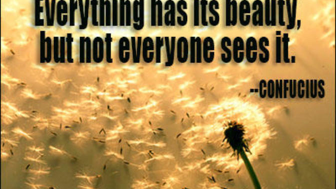 Beauty -- What does it mean to you?