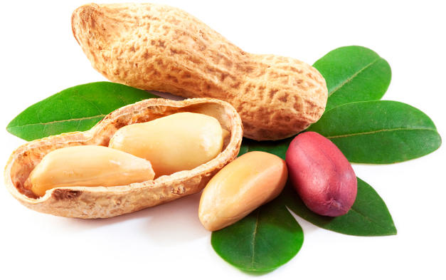 What's your favorite nut?