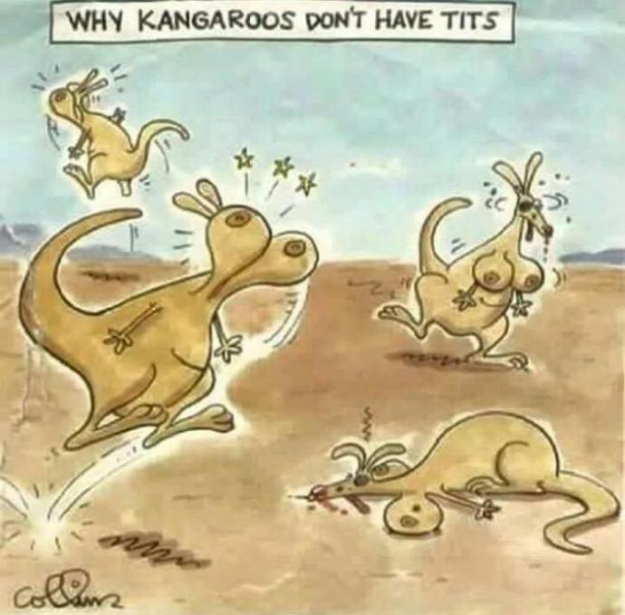 Do you know why kangaroos don't have boobs?