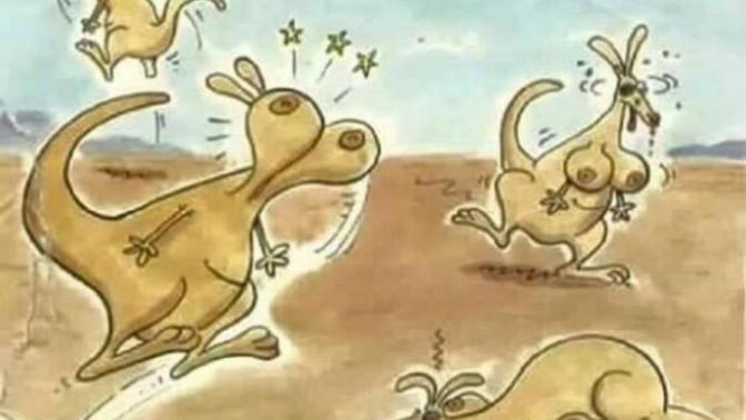 Do you know why kangaroos don't have boobs?