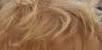 I am blond, I don't want to be brunette, what can i do?