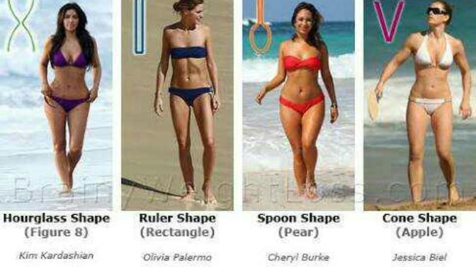 Question for guys.. what female body type turns u on most?