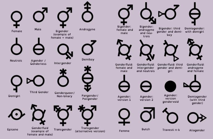 What Is Your Opinion On Different Genders And Gender Laws, Do You Think It Goes Too Far?