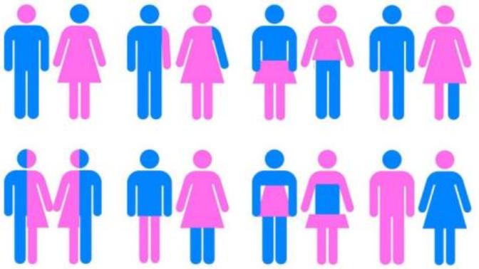 What Is Your Opinion On Different Genders And Gender Laws, Do You Think It Goes Too Far?