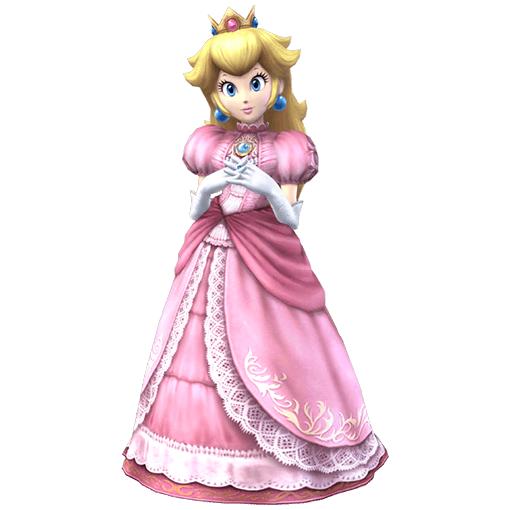 what are those thing on the sides of the dress called?