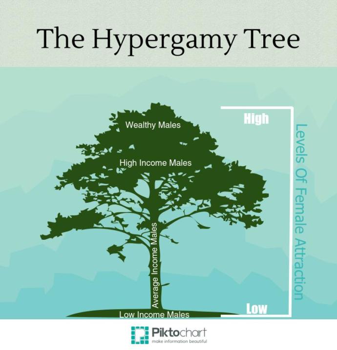 Does female hypergamy cause women to have less loyalty than men?