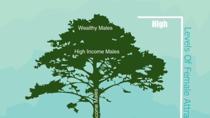 Does female hypergamy cause women to have less loyalty than men?