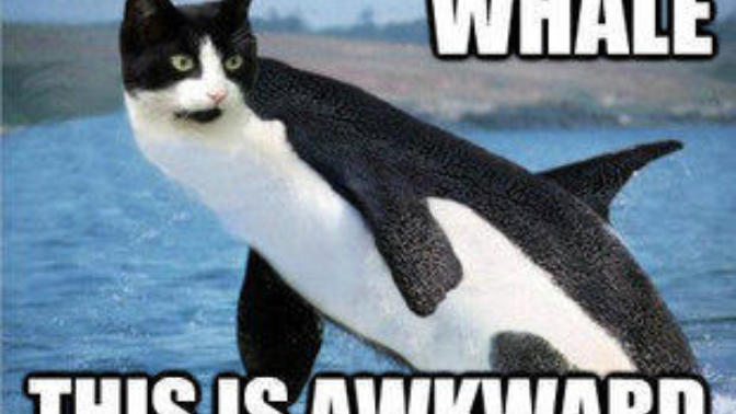 My days of trolling on GaG are essentially over?