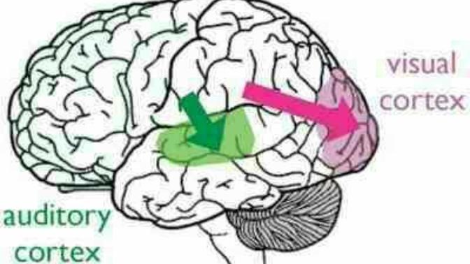 Do you have a good Visual memory or good Auditory memory?